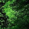 Ahmed-67967