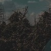 ahmed_53458