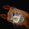 mohamed_42397