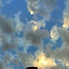 angel_5319