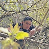 naserf_60377