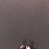 sashikiran_48006