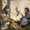 AggresiveWolf
