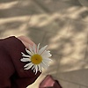 rana_20050