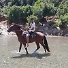 brahim_47764
