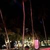 daina_28774