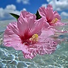 taniarahma_73079