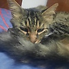 lola_29031
