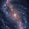 user_648662