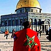 abdelghani_47317