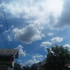 Auliva