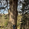 stuart_82026