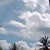 vianus_16794