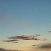 aruna_52983