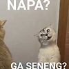 naufal_10909