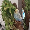 ryan_48191