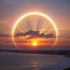 andy_62470