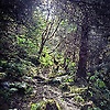 matthew_29656