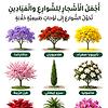 ali_90299