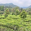 Melda2821