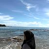 moza_71418