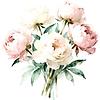 dibloom