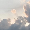 al_63449