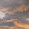 elora_40307