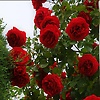 kanyinsola_98425