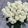 roberto_23246