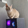 Aleksey_qq