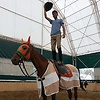 Horsetrainer