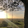 rhman_20544