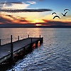 ali_43168