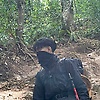 panji_86327