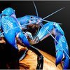 BlueLobster