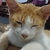 lily_73446