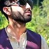 M.shani