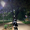 deww_88584