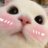 sulistya_25655