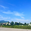 vivian_29233