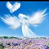 sarry_24649