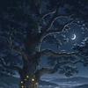 hamed_72498