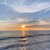 Ninamhd1