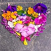 abigail_13090
