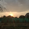 gowthami_45100