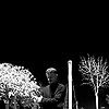 yunusemre_31965