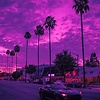 DXSUNNY232