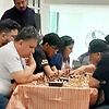maasterpollo12