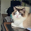 xuannan_44595